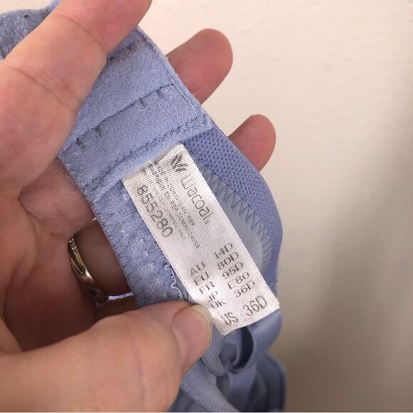 Wacoal First Instinct Full Figure Seamless Underwire Bra Blue 36D 855280 - Picture 3 of 5